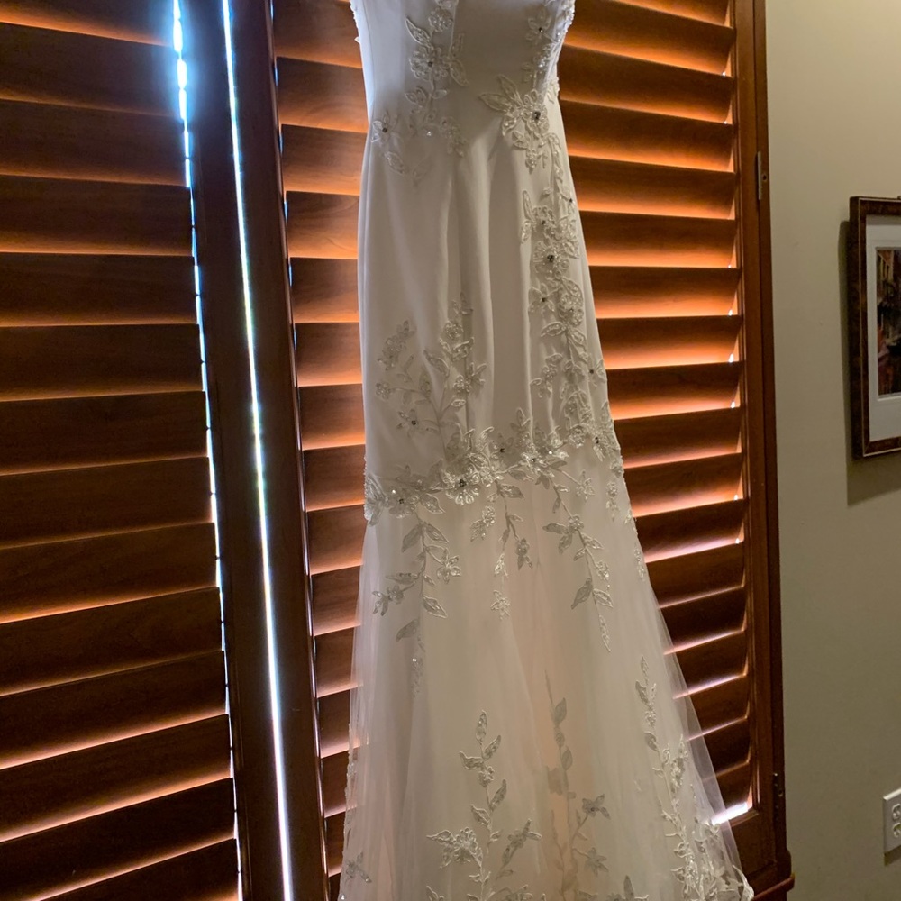 Wedding Dress or Ballgown - Picture 10 of 13